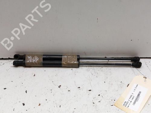 hood-lift-support-renault-kangoo-express-fw01_-2008-28770431 main image