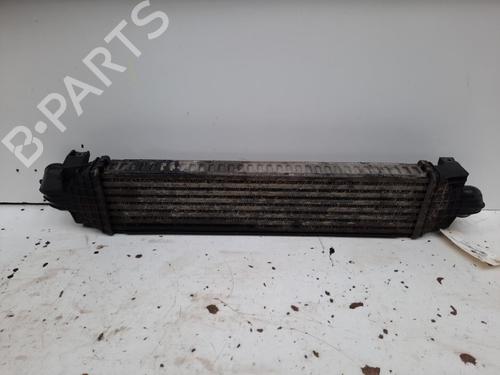 Used Intercooler FORD FOCUS C-MAX (DM2) 1.8 TDCi (115 hp) 28764659