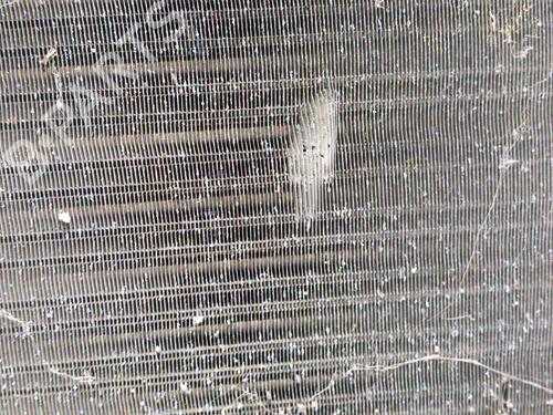 Used Water radiator Water radiator CITROËN JUMPER I Van (244) 2.2 HDi (101 hp) 28794427 28794427