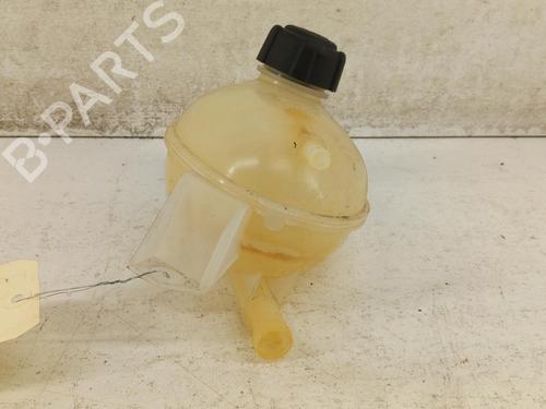 Used Expansion tank DACIA SANDERO II TCe 90 (B8M1, B8MA, B8AC) (90 hp) 28772692