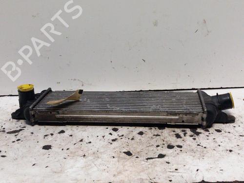 Intercooler OPEL VIVARO A Platform/Chassis (X83) 2.5 DTi | BP28767272M30 - Image 5