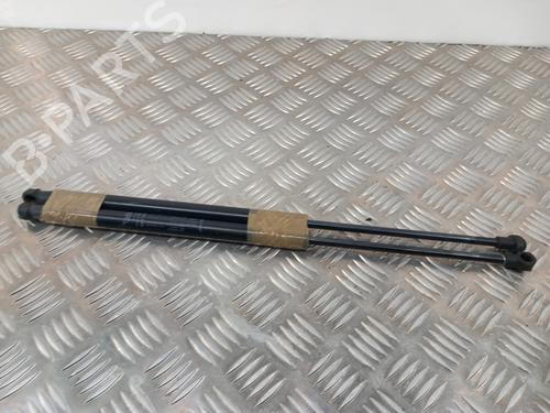 Used Tailgate lift support FIAT 500 (312_) 1.0 Mild Hybrid (312.AYD1B) (69 hp) 28782275