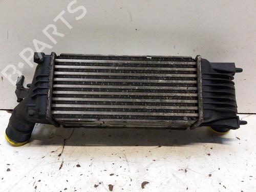 Ladeluftkühler für CITROËN C5 II (RC_) 2.2 HDi (170 hp) 28748543
