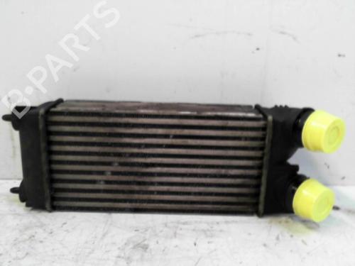 Used Intercooler CITROËN C4 I (LC_) 1.6 HDi (90 hp) 28754988