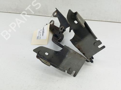 Hinge/Door check strap RENAULT LAGUNA III (BT0/1) 2.0 dCi (BT01, BT08, BT09, BT0E, BT0K, BT12, BT1C, BT1D,... | BP28751403C146 