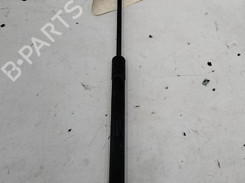 Used Tailgate lift support SKODA ROOMSTER (5J7) 1.6 TDI (90 hp) 28769363