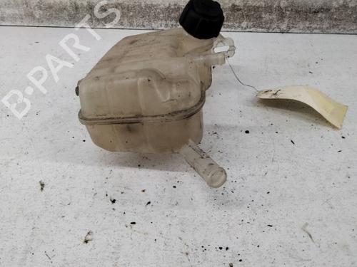 Expansion tank RENAULT SCÉNIC II (JM0/1_) 1.5 dCi (JM1E, JM16) | BP28781084C120 