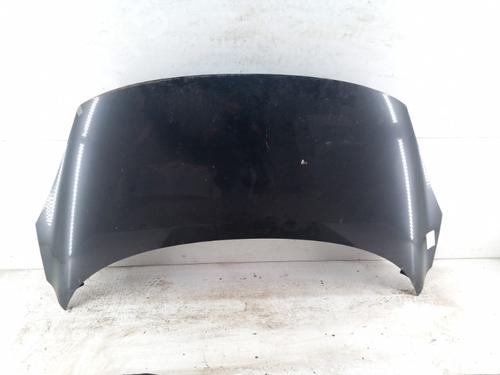Used Hood RENAULT SCÉNIC III (JZ0/1_) 1.5 dCi (110 hp) 28781158