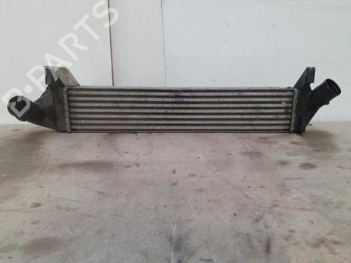 Used Intercooler DACIA SANDERO 1.5 dCi (68 hp) 28791959