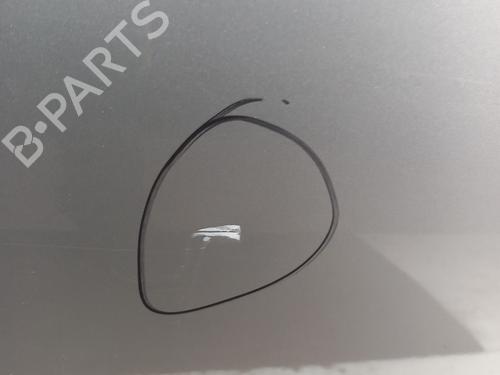 Right front door NISSAN QASHQAI I (J10, NJ10) 1.5 dCi | BP29898262C3