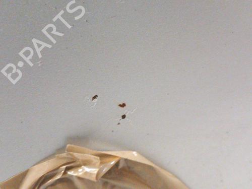 hood-mercedes-benz-c-class-t-model-s202-1996-1997-1998-1999-2000-2001-28770853 main image