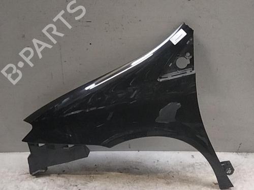 Left front fenders LANCIA PHEDRA (179_) 2.0 JTD (179.AXE1A) | BP28759958C41 