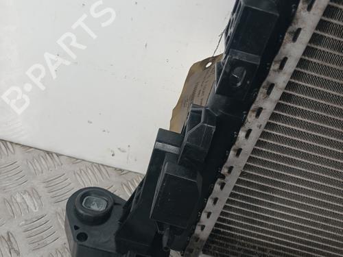 Køler RENAULT TRAFIC III Van (FG_) 1.6 dCi 115 (FGMD) | BP31641690M31