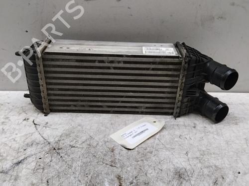 intercooler-citroen-c3-ii-sc_-2009-28752950 main image