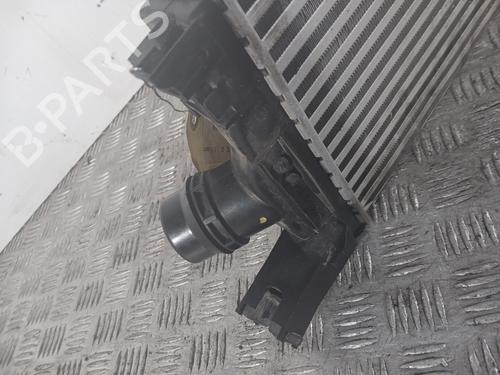Used Intercooler Intercooler DACIA SANDERO II 1.0 LPG (B8ML) (101 hp) 33207038 33207038