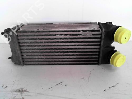 Used Intercooler CITROËN C8 (EA_, EB_) 2.2 HDi (128 hp) 28793005