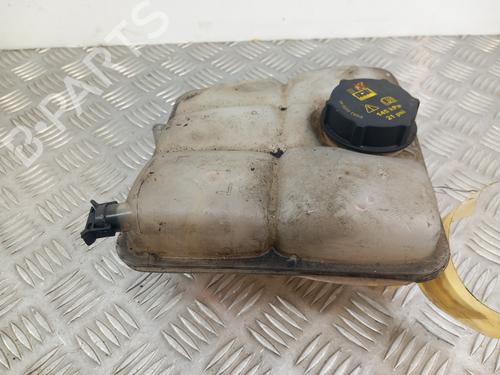 Used Expansion tank FORD TRANSIT CONNECT V408 Box Body/MPV 1.6 TDCi (95 hp) 29357494