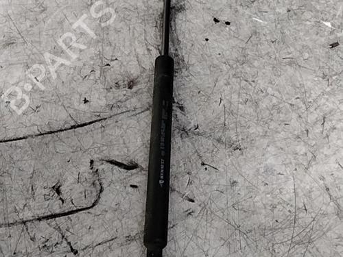 Used Hood lift support RENAULT ESPACE IV (JK0/1_) 2.2 dCi (JK07) (139 hp) 28789766