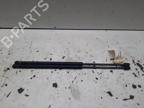 Used Tailgate lift support FORD FUSION (JU_) 1.4 TDCi (68 hp) 28764400