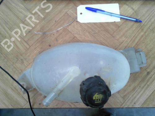 Used Expansion tank RENAULT TRAFIC II Van (FL) 2.0 dCi 115 (FL01, FL0U, FL00, FL0H, FL0M) (114 hp) 28777728