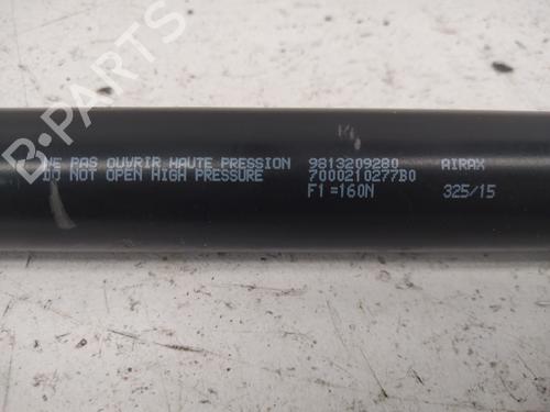 tailgate-lift-support-peugeot-508-i-8d_-2010-2011-2012-2013-2014-2015-2016-2017-2018-28733785 main image