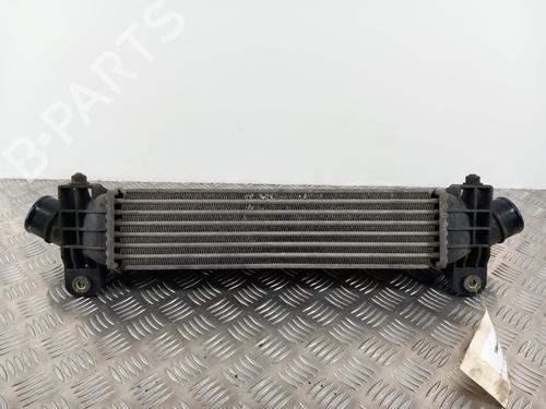Used Intercooler RENAULT TRAFIC III Van (FG_) 1.6 dCi 125 (FGMH) (125 hp) 28782535