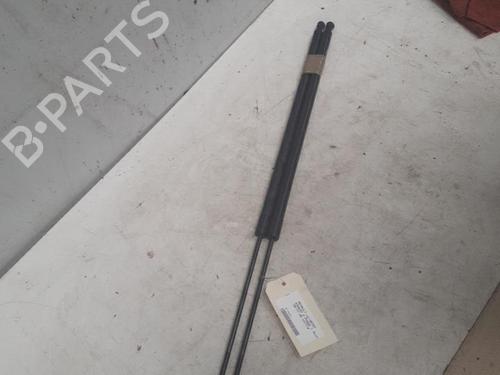 Used Tailgate lift support RENAULT KANGOO / GRAND KANGOO II (KW0/1_) 1.5 dCi 75 (KW07, KW10, KW04) (75 hp) 28772573