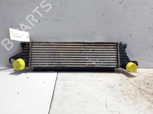 Intercooler RENAULT KANGOO (KC0/1_) 1.9 dCi 4x4 (KC0V) | BP28762229M30 - Image 3