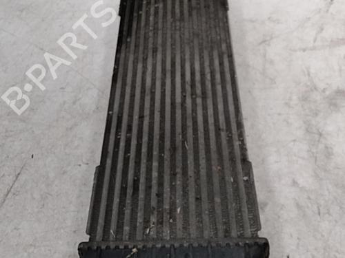 Intercooler RENAULT TRAFIC II Van (FL) 1.9 dCi 80 (FL0B) (82 hp) 28763088