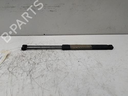 Used Tailgate lift support FORD FIESTA VI (CB1, CCN) 1.4 TDCi (70 hp) 28764240