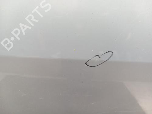 Left front door RENAULT SCÉNIC II (JM0/1_) 1.9 dCi (JM0G, JM12, JM1G, JM2C) | BP28742229C2 
