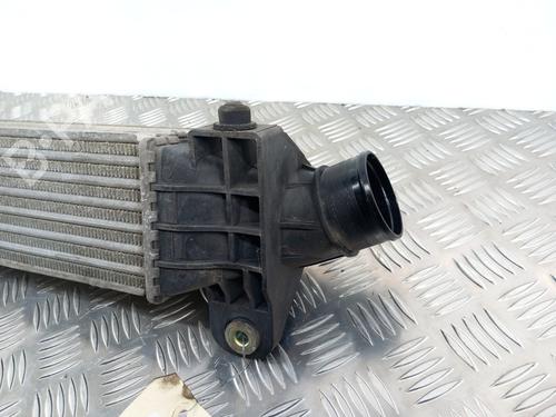 Intercooler RENAULT TRAFIC III Van (FG_) 1.6 dCi 125 (FGMH) | BP28782535M30 