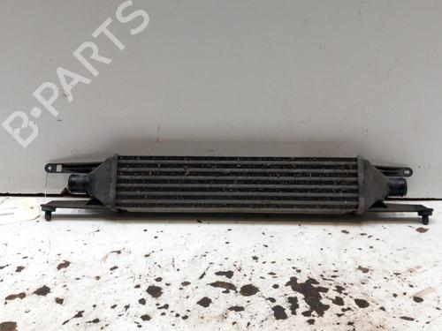 Intercooler FIAT GRANDE PUNTO (199_) 1.3 D Multijet | BP28778669M30