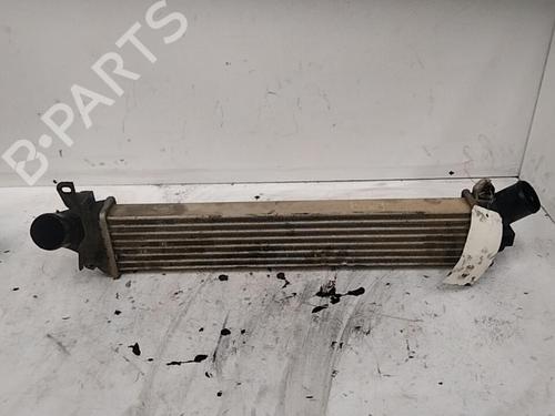 Used Intercooler Intercooler RENAULT KANGOO Express (FC0/1_) 1.5 dCi (FC07, FC1R) (65 hp) 28741579 28741579