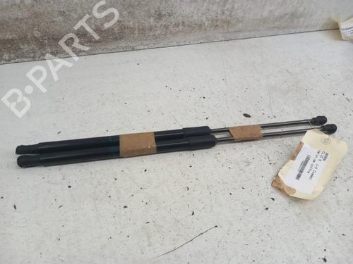 Used Tailgate lift support RENAULT CLIO V (B7_) 1.5 Blue dCi 85 (B7AG) (86 hp) 28780852