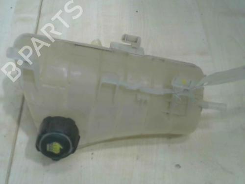Used Expansion tank RENAULT KANGOO Express (FW0/1_) 1.6 (FW00, FW0E, FW0N, FW0P, FW0Y) (87 hp) 28792173