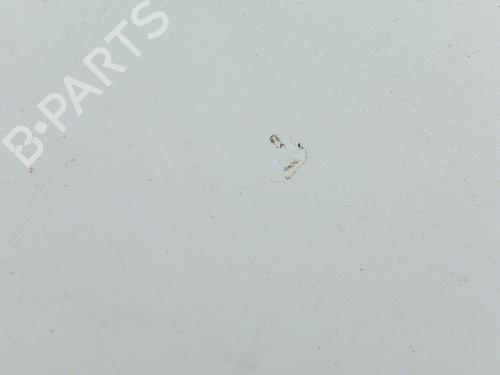 Right front fenders MERCEDES-BENZ VITO Bus (W639) 111 CDI (639.701, 639.703, 639.705) | BP28773127C42 