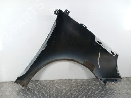 Left front fenders RENAULT SCÉNIC III (JZ0/1_) 1.5 dCi | BP29456498C41 