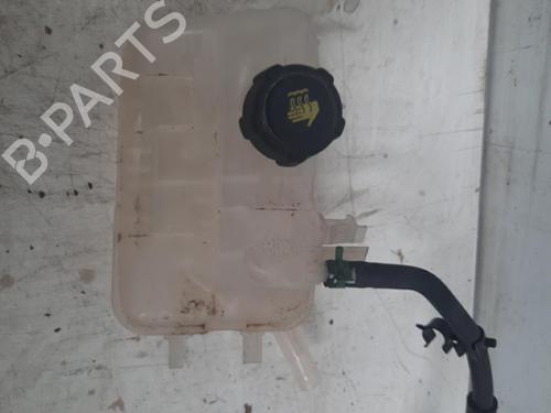 Used Expansion tank RENAULT MEGANE III Hatchback (BZ0/1_, B3_) 1.5 dCi (BZ0C) (90 hp) 28772408
