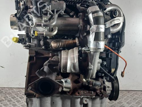 Engine DACIA SANDERO II 1.5 dCi | BP36519884M1 - Image 3