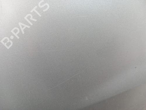 Left front fenders RENAULT CLIO III (BR0/1, CR0/1) 1.2 16V (BR02, BR0J, BR11, CR02, CR0J, CR11) | BP28738064C41 