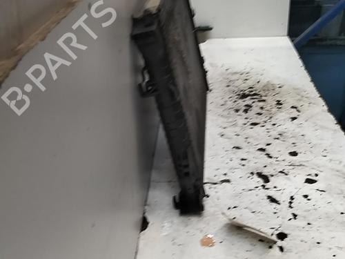 Køler RENAULT VEL SATIS (BJ0_) 3.0 dCi (BJ0J, BJ0N) | BP28778826M31