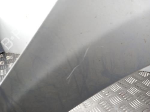 Forkjerm høyre RENAULT CLIO III (BR0/1, CR0/1) 1.5 dCi (C/BR0G, C/BR1G) | BP28756798C42