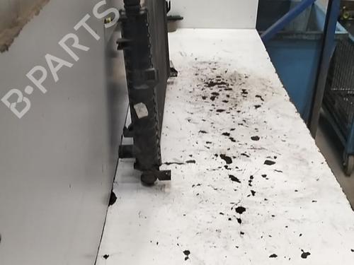 Water radiator FORD MONDEO I (GBP) 1.8 TD | BP28756179M31 