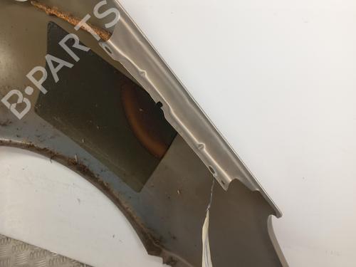 Left front fenders CITROËN XSARA PICASSO (N68) 1.6 HDi | BP29473503C41 
