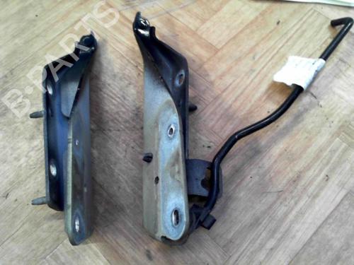 Used Hinge/Door check strap CITROËN C3 I (FC_, FN_) 1.4 HDi (68 hp) 28777545