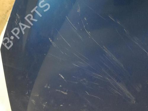 Used Hood PEUGEOT 206+ (2L_, 2M_) 1.4 HDi eco 70 (68 hp) 28769921