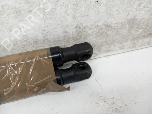 Tailgate lift support FIAT 500X (334_) 1.6 D Multijet (334AXA1B, 334AXA11) | BP28768701C138 