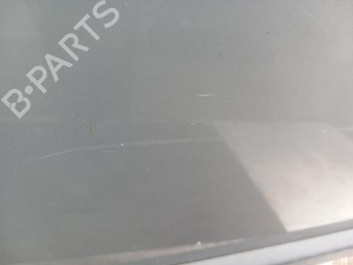 Left front door RENAULT SCÉNIC II (JM0/1_) 1.9 dCi (JM0G, JM12, JM1G, JM2C) | BP28742229C2 