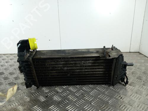 Used Intercooler FORD TRANSIT CONNECT V408 Box Body/MPV 1.6 TDCi (95 hp) 29299203